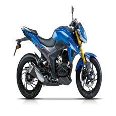 هاوجي دي ار 160 إس | Haojue DR 160s