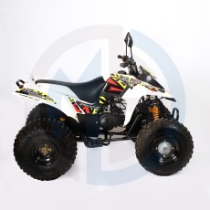 نسخة من دباب رام يورو سبورت 110